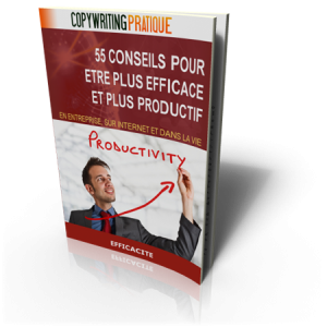 livre 55 conseils pour etre plus efficace et plus productif