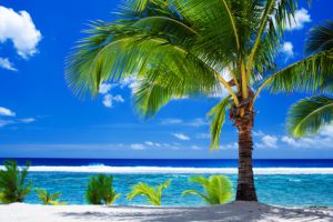 priorités avant le départ en vacances