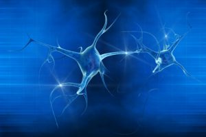 Neuro sience et addiction