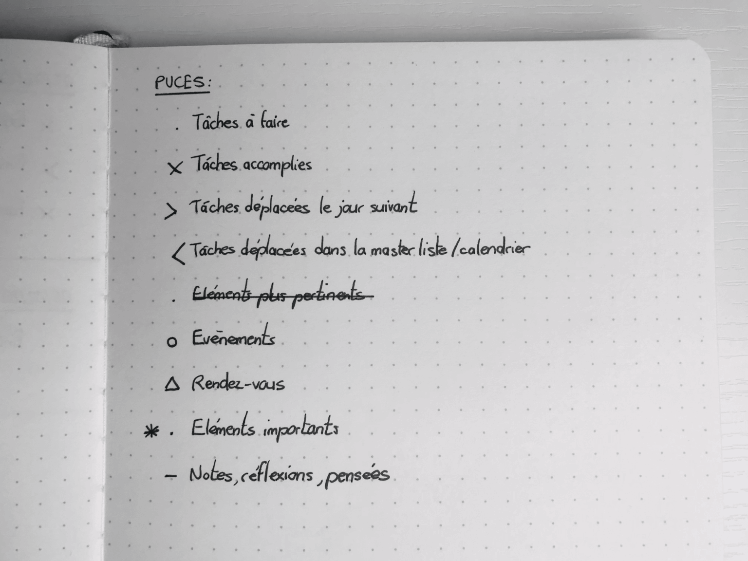 puces bujo